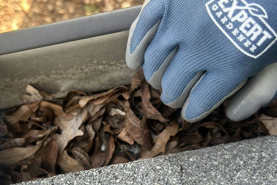 Gutter Cleaning Concord NC